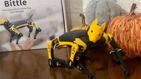 pitoy robot|Petoi Bittle Robot Dog Review: It’s More Than a Pet .